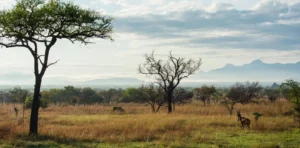 7 Days Queen Elizabeth NP