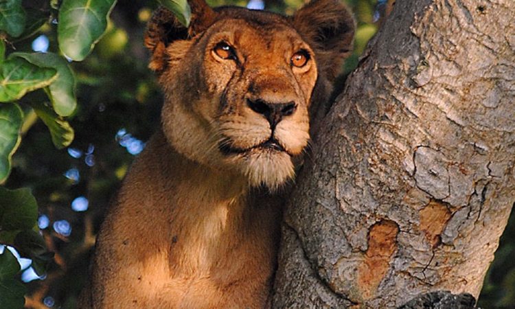 8 Days Cultural Tour